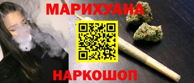 сатива Малгобек