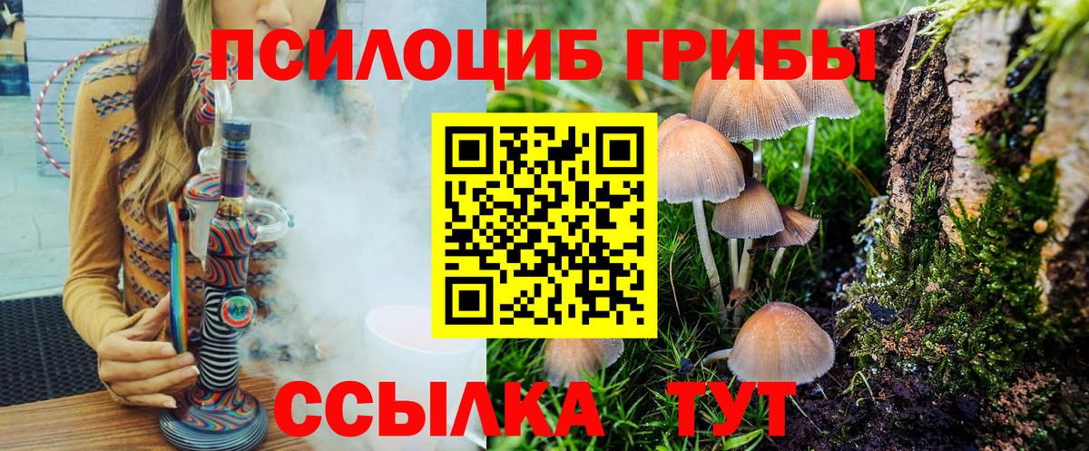 Псилоцибиновые грибы мухоморы  цена   Вход с VPN  Уварово  Галлюциногенные грибы мухоморы 
